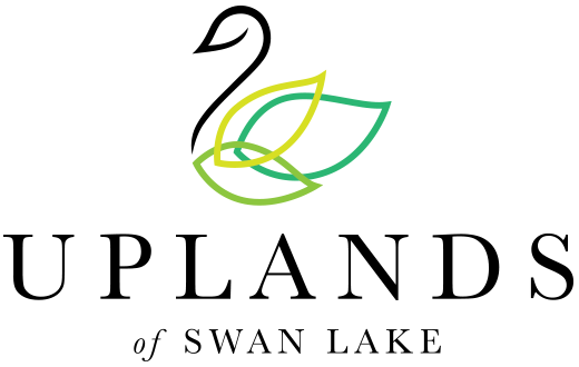 mainLogo